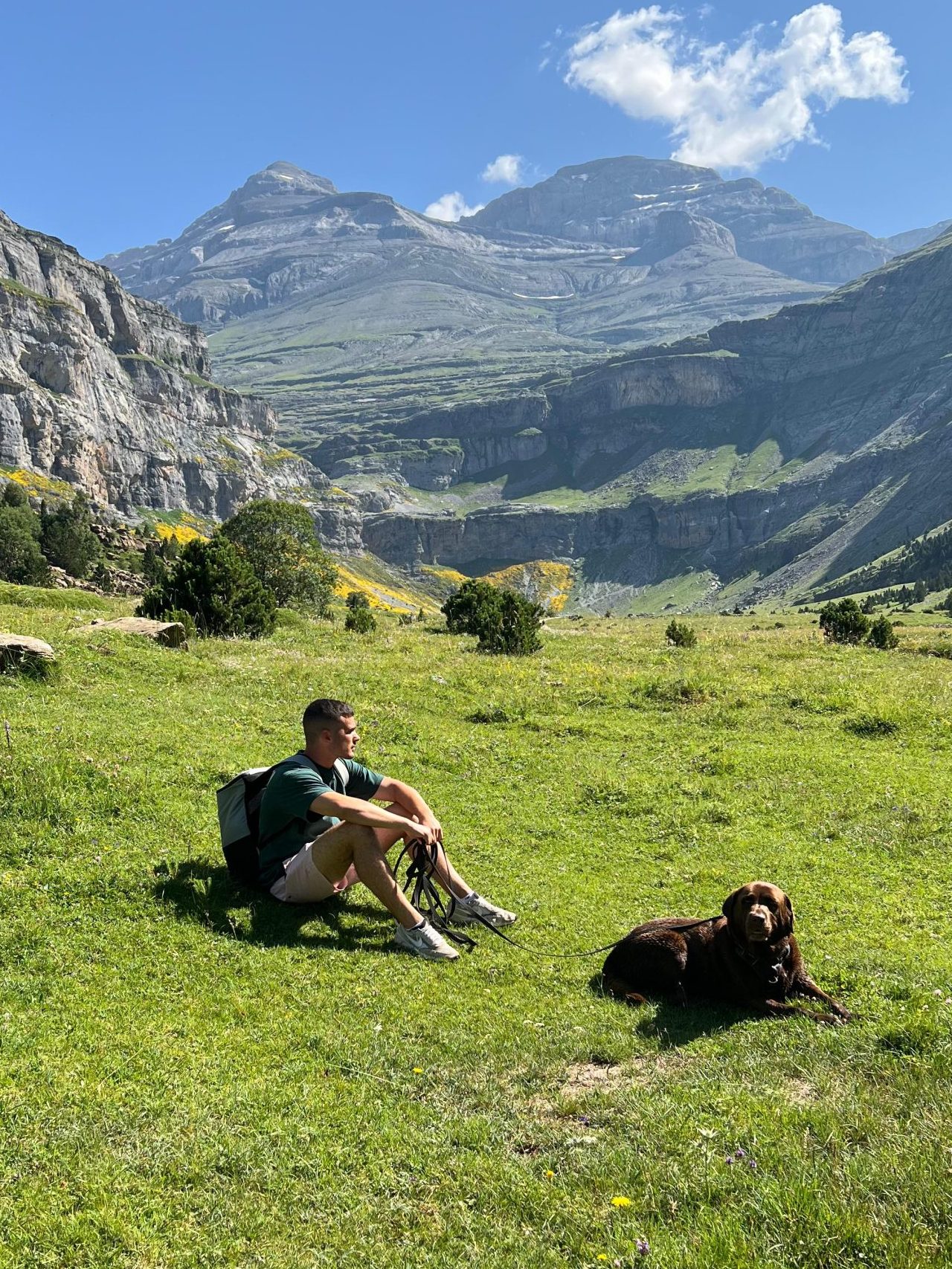 Persona reflexionando en la montaña junto a su perro, rodeado de naturaleza y libertad